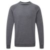 Men’s HD Raglan Sweat